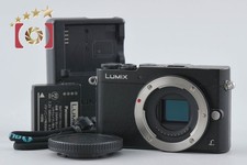 Panasonic LUMIX DMC-GM5 16.0