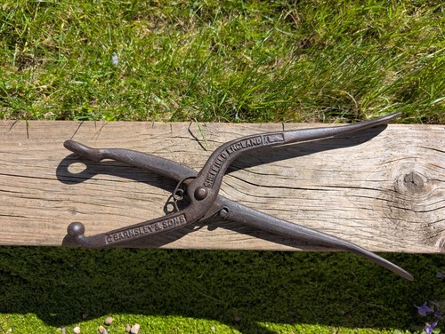Bunion stretcher shoe