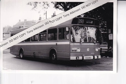 Alder valley leyland - -,