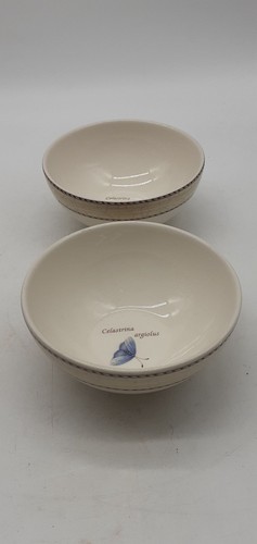 Wedgwood celastrina butterfly - wedgwood,