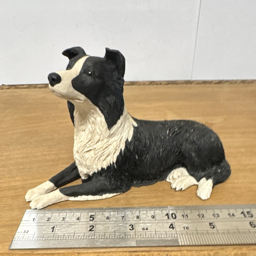 Dogs galore border collie - galore,
