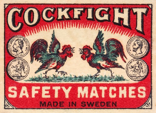 Vintage cockfight safety - vintage,