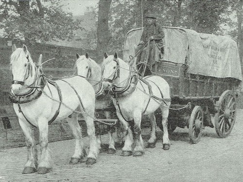 The london cart horse shire - cart,