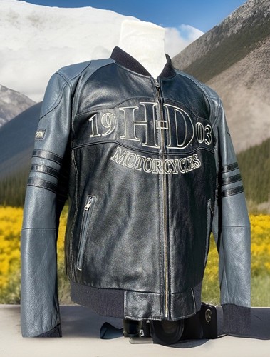 Harley davidson men cylinder - harley,