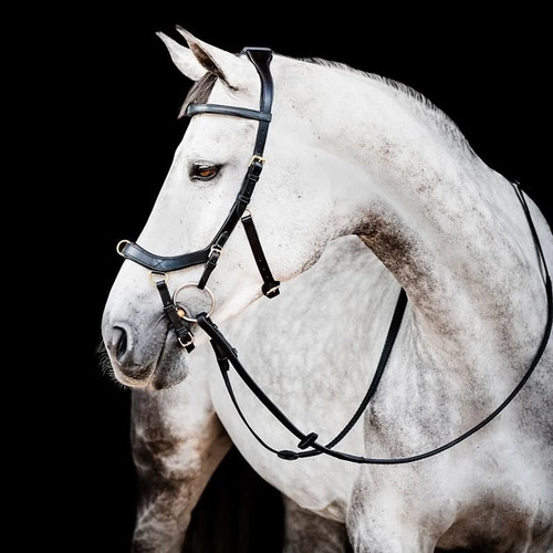 Horseware micklem multi bridle - micklem,