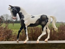 🖤 Breyer Gathering Storm