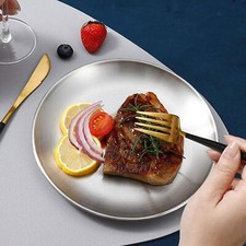 Stainless Steel Dinner Plates
