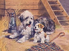OLD ENGLISH SHEEPDOG AND
