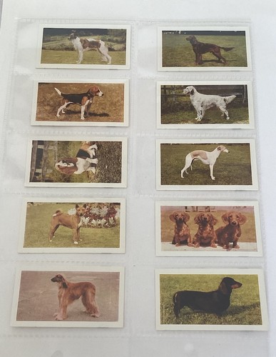 Hornimans tea 1961 dogs trade - hornimans,