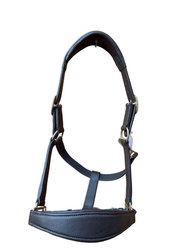 Leather halter head - head, collar