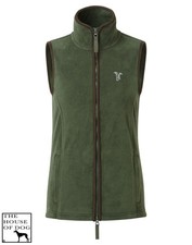 Whippet Italian Greyhound