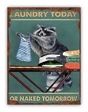 Funny Racoon Laundry Metal