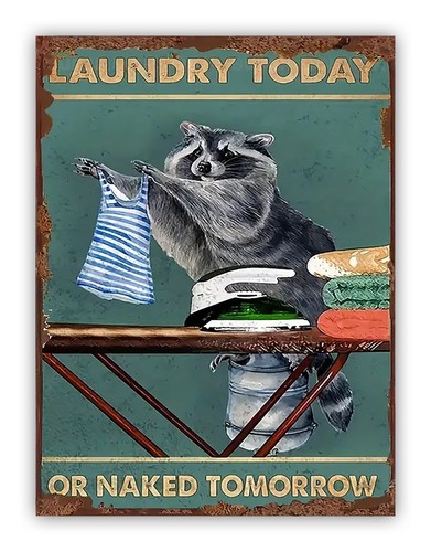 Funny racoon laundry - racoon, metal