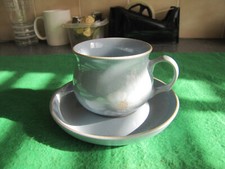 Denby Blue Dawn Cup & Saucer