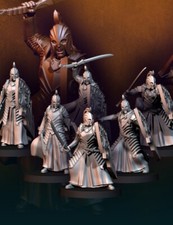 Elf swordmen 28mm fantasy