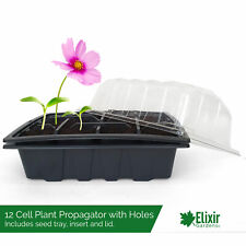 Elixir Gardens 12 Cell