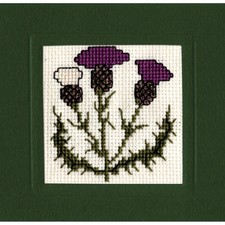 Scottish Thistle Miniature
