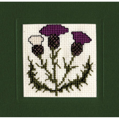 Scottish thistle miniature - thistle,