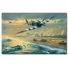 Spitfire aircraft day - spitfire,
