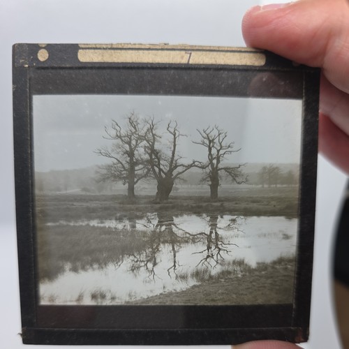 Glass magic lantern slide - glass,