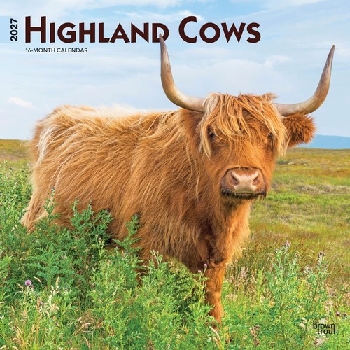 Highland cows 2027 calendar - highland,