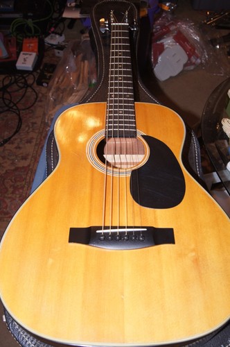Goya small bodied - small, acoustic