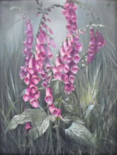 Mary Dipnall (b. 1936) -