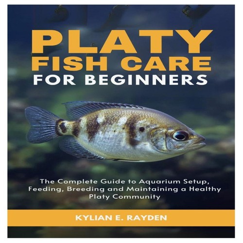 Platy fish care for - platy, beginners