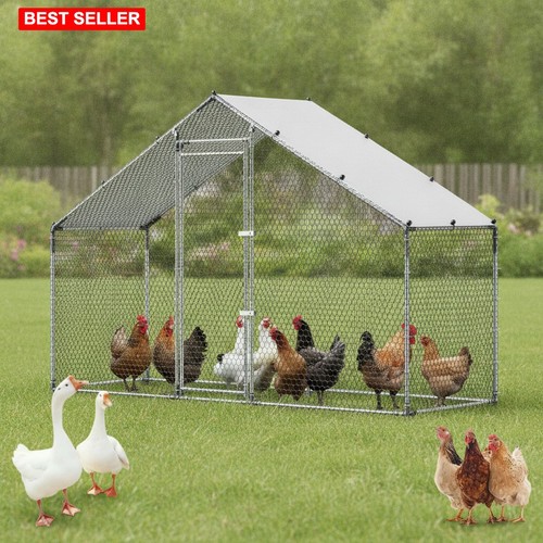 Large metal chicken - large, coop