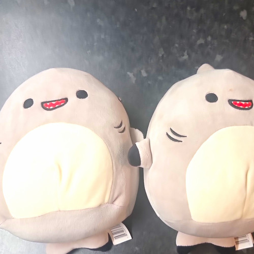 Squishmallows grey shark s - 2x,