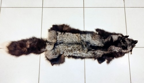 Natural silver fox skin - skin, fur