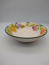 Vintage Mason's Fruit Pattern