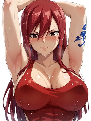 Erza scarlet fairy tail waifu - fairy,
