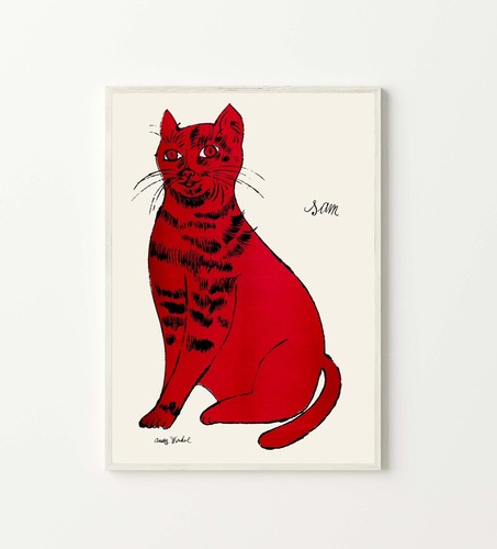 Red cat named sam - cat,