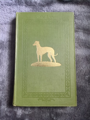 Greyhound stud book vol - 85,