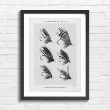 Vintage salmon fly fishing - salmon, art
