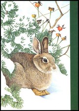 Greeting Card - Rabbit -