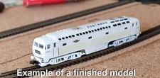 N gauge D0260 Lion Prototype