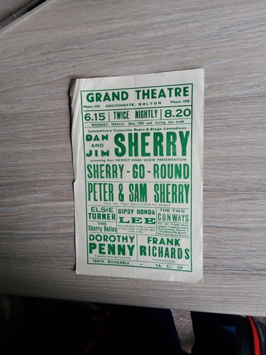 Variety panto theatre flyer - theatre,