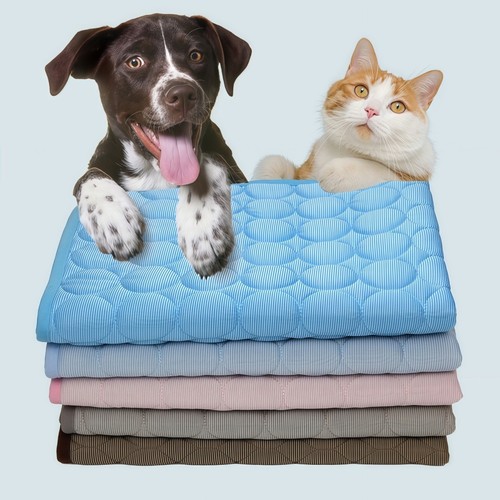 Ice silk pet - pet, mat