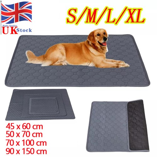 Washable large pet - washable, pee