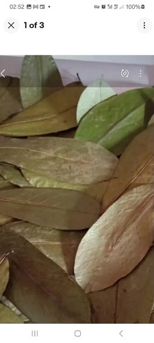 Dried soursop - dried,