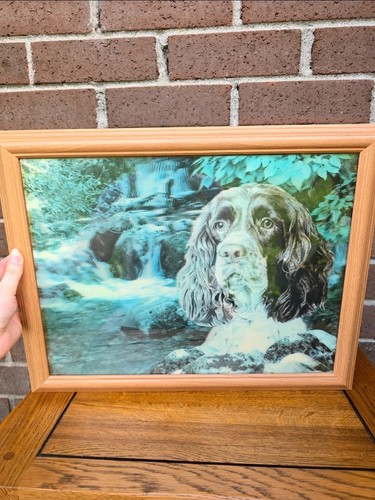 Spaniel dog framed lenticular - spaniel,