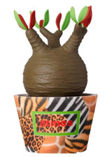 Atmos x Botanize Medicom