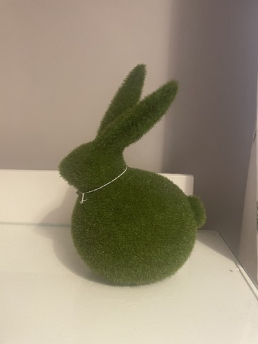 Maxx homesense easter bunny - homesense,
