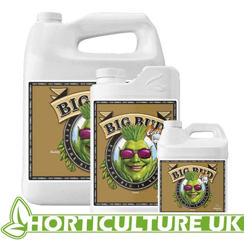 Advanced nutrients big bud - big,