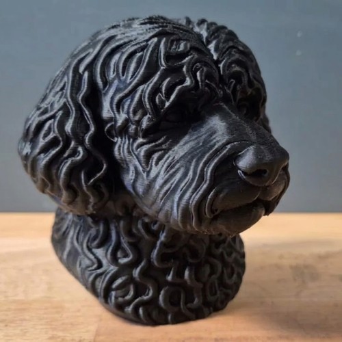 Portuguese water dog bust - portuguese,