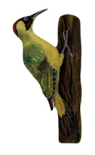 Green Woodpecker Plaque -