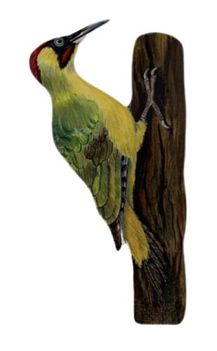 Green woodpecker plaque - green,