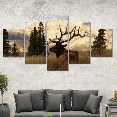 Elk rocky mountain - elk, multiple